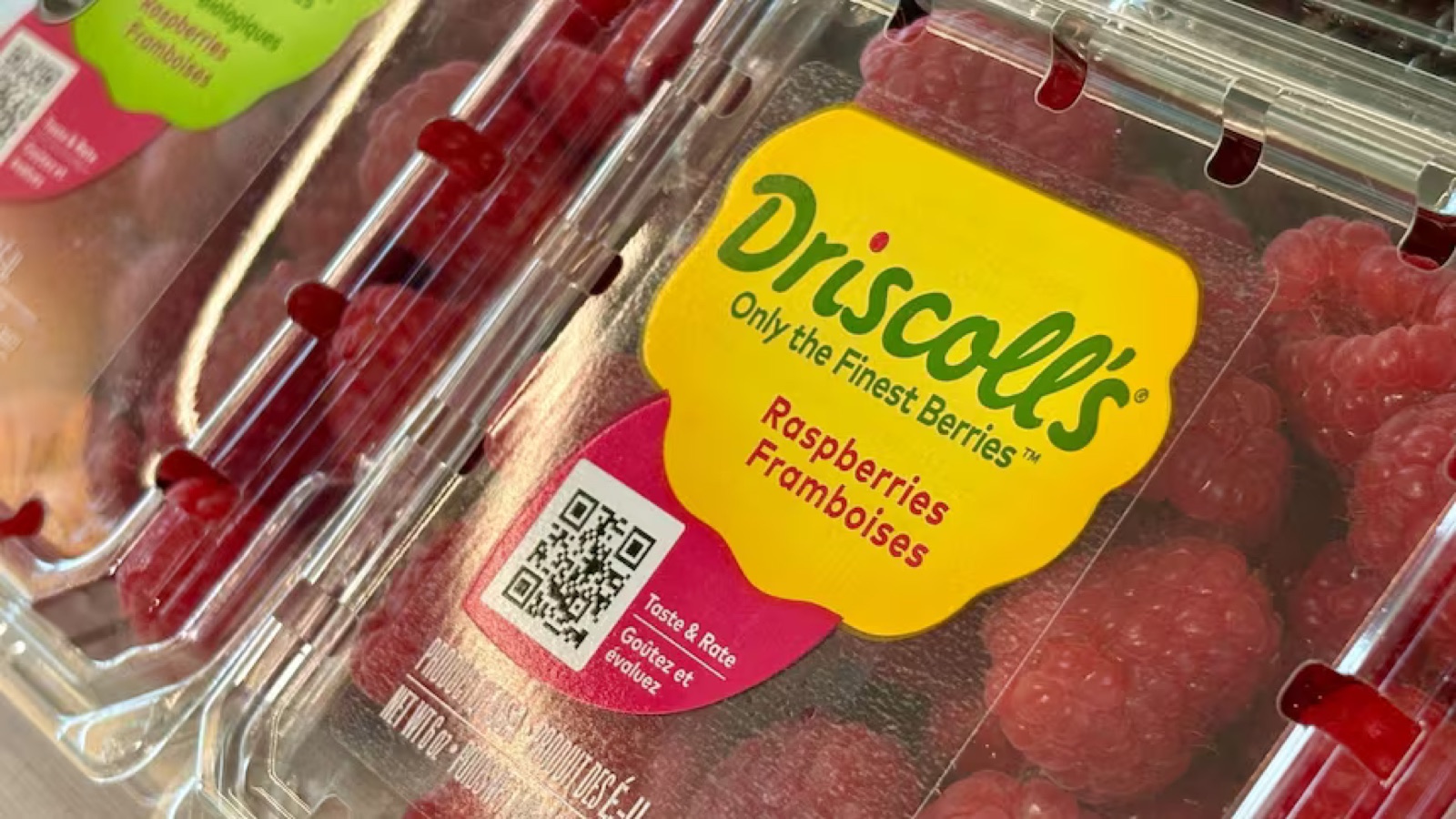 Инсайдер обвинил Driscoll's в поставках в Канаду ягод с превышением норм пестицидов