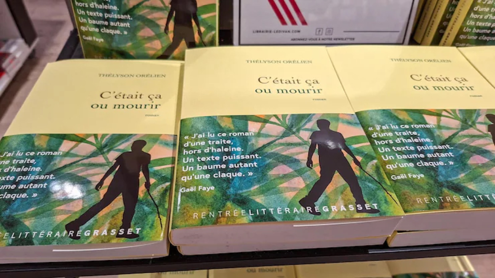 Была ли эта отмеченная наградами книга написана ИИ? Скандал усиливает скептицизм в литературном мире